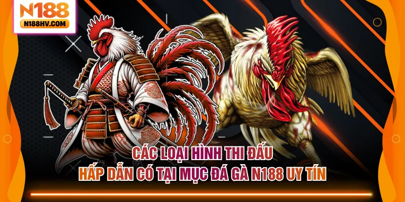 Các loại hình thi đấu hấp dẫn có tại mục đá gà N188 uy tín