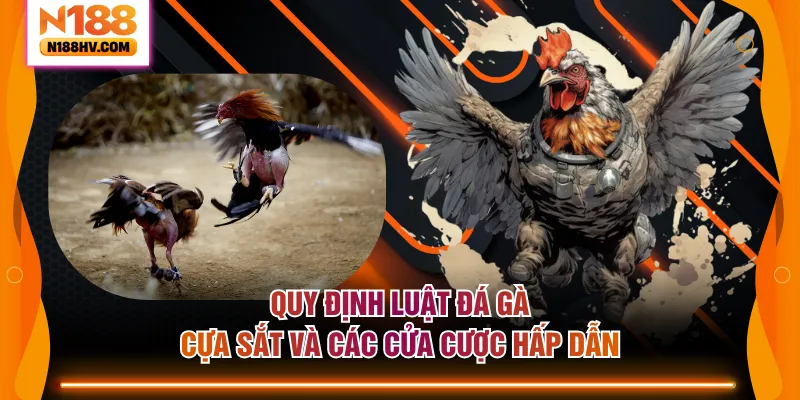 Quy định luật đá gà cựa sắt và các cửa cược hấp dẫn